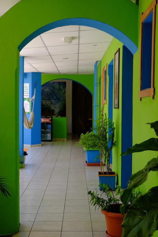 Hostal Casa Verde Santa Ana Eksteriør bilde